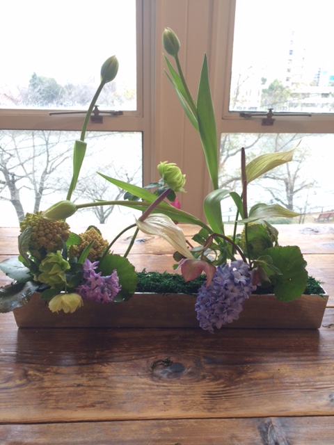 春のお花_d0139350_16351172.jpg