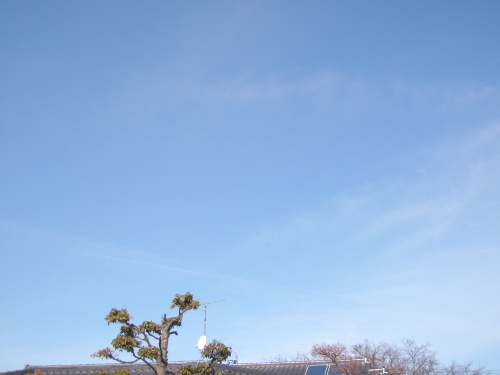 c0327752_14274122.jpg