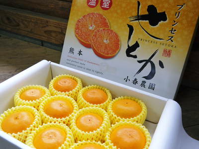 平成27年度 究極の柑橘『せとか』初収穫&初出荷しました!!(その2:今年のせとかも美味い!!)_a0254656_1654349.jpg
