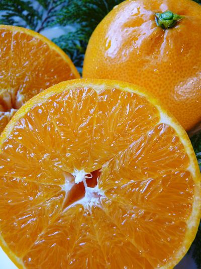 平成27年度　究極の柑橘『せとか』初収穫＆初出荷しました!!（その２：今年のせとかも美味い!!）_a0254656_17113841.jpg