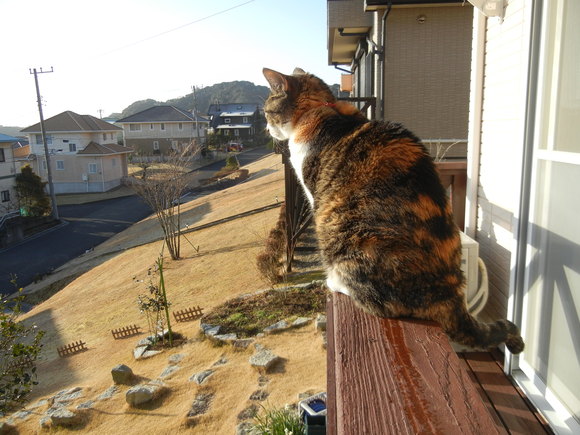 ’15,2,21(土)ベトナム旅行⑤ホイアンの悲劇!_f0060461_9395131.jpg