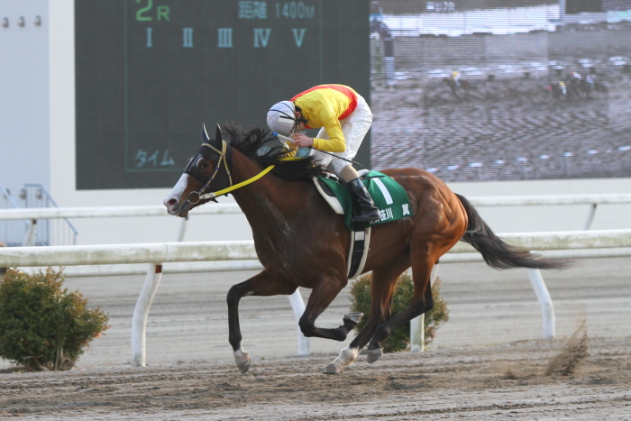 第29回全日本新人王争覇戦 第1戦 その2_a0077663_2151935.jpg