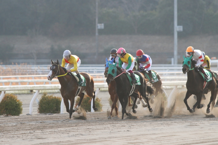 第29回全日本新人王争覇戦 第1戦 その2_a0077663_21552.jpg