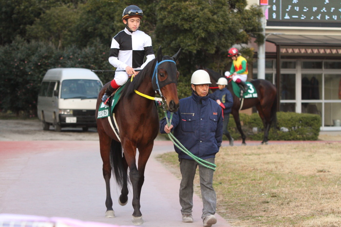 第29回全日本新人王争覇戦 第2戦 その1_a0077663_21574622.jpg