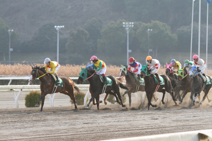 第29回全日本新人王争覇戦 第1戦 その2_a0077663_21579.jpg