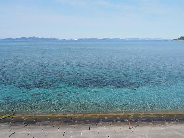 a0332468_14353971.jpg