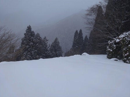 巨大氷筍の秘瀑　　喜平小屋谷　大滝_c0303868_18501927.jpg