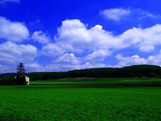 a0267370_8233779.jpg