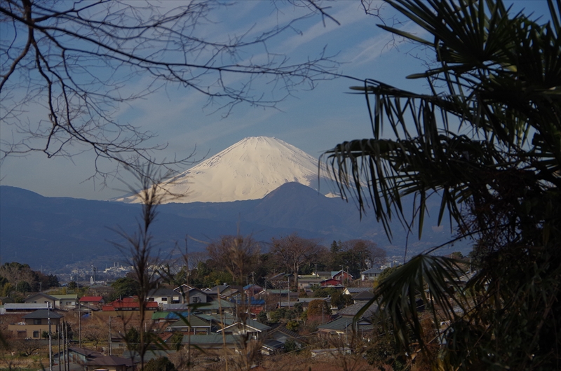 d0031171_93779.jpg