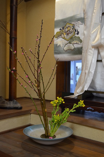 桃の花_d0230676_17402367.jpg