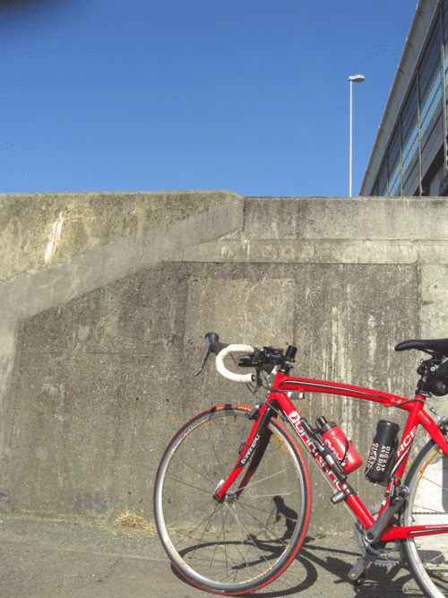 c0095679_1543838.gif
