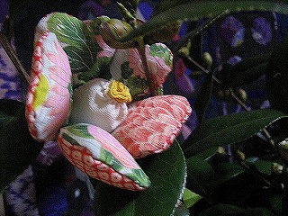 c0229483_20463116.jpg
