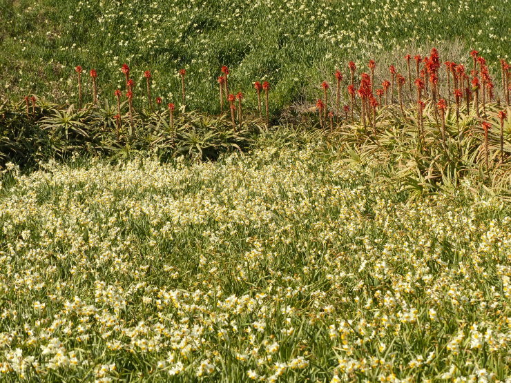 c0324393_20574064.jpg