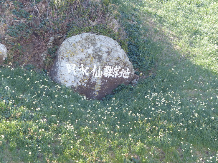 c0324393_21060706.jpg