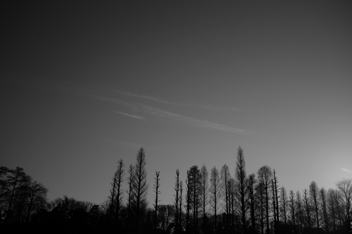 e0025893_004876.jpg