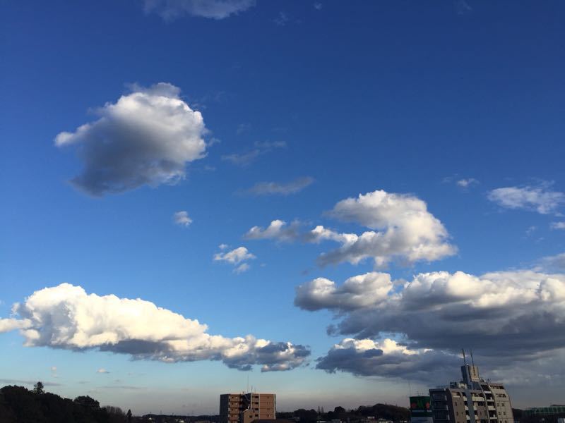 d0135694_1344870.jpg