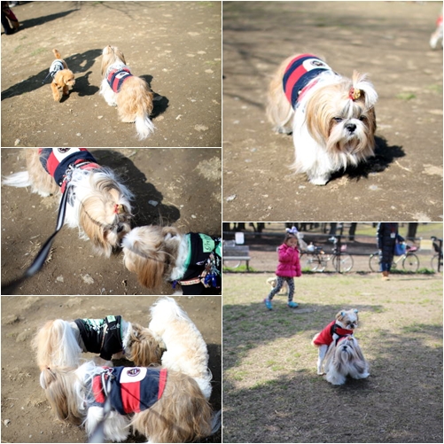 水元公園にお散歩に_c0090198_2112690.jpg