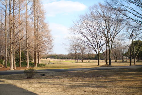 水元公園にお散歩に_c0090198_21204956.jpg