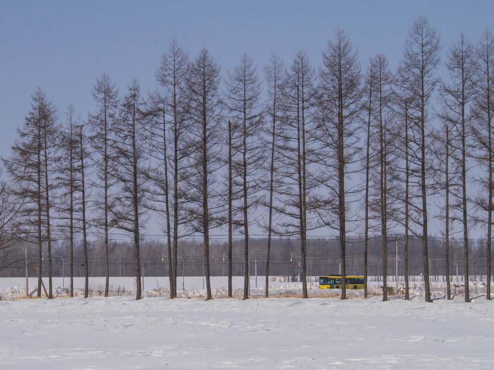 北の大地を走る”幸福(しあわせ)の黄色いバス”の旅_f0276498_21531679.jpg