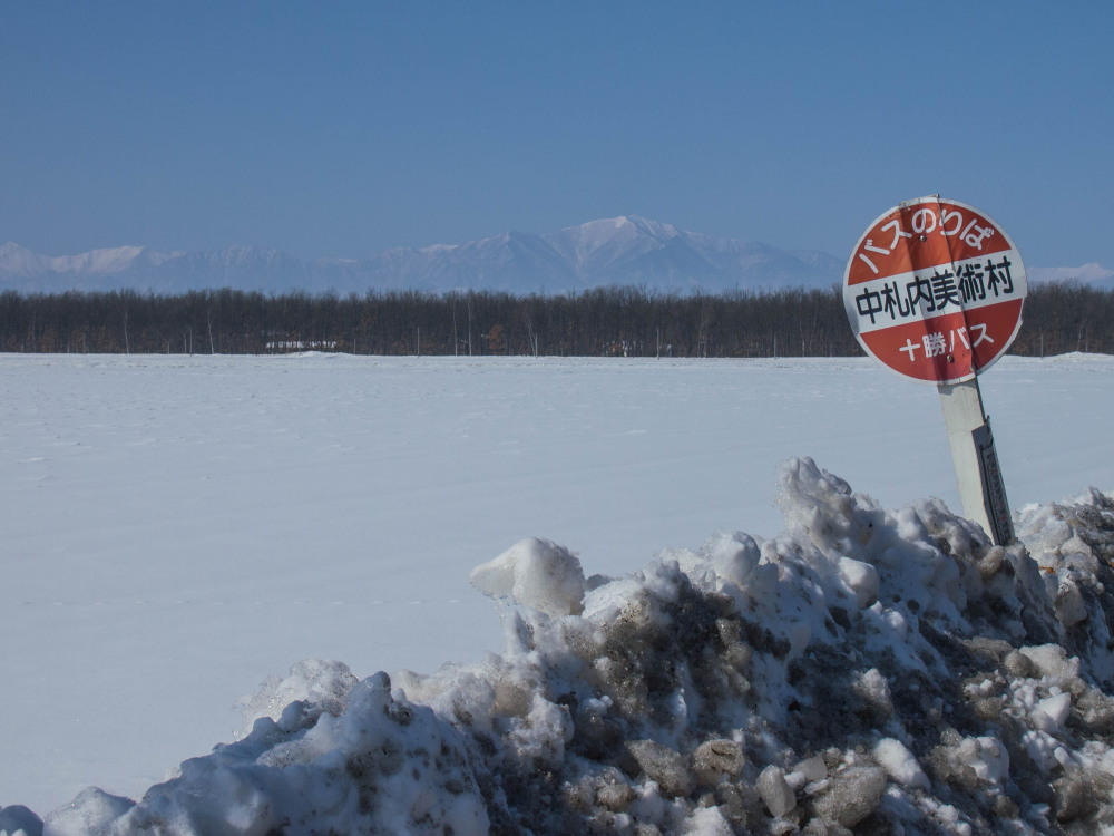 北の大地を走る”幸福(しあわせ)の黄色いバス”の旅_f0276498_21535525.jpg