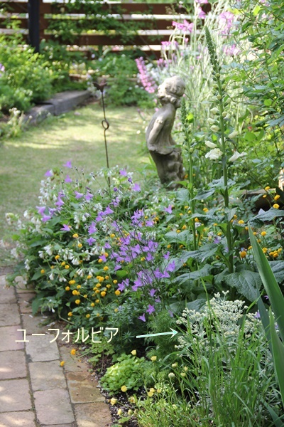 a0123003_16381578.jpg