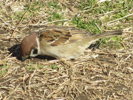 c0212604_1853356.jpg