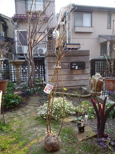 e0234004_20141269.jpg