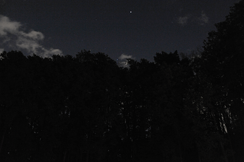 a0278809_1234135.gif