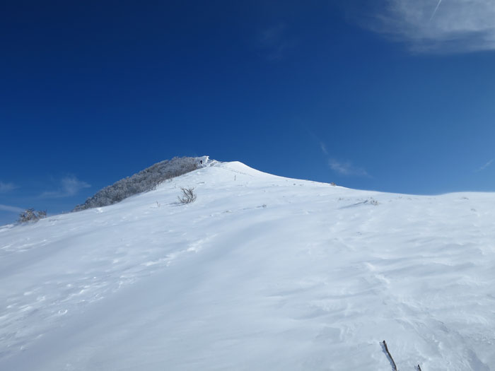 e0077010_167040.jpg