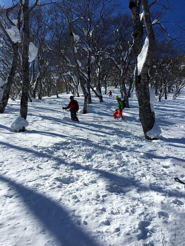 黒姫山BC 2015,2,16_f0225414_23422746.jpg