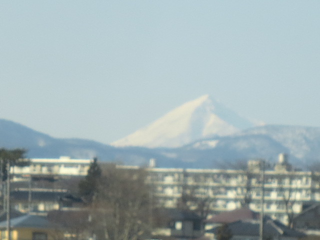 恒例・・開成山大神宮へお参り_f0248616_11161963.jpg