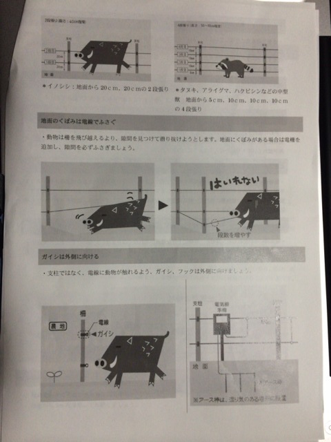 鳥獣害対策は農家だけの問題ではない？！_a0073224_195136.jpg