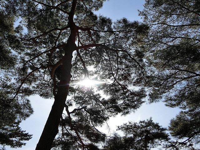 e0234924_6593060.jpg