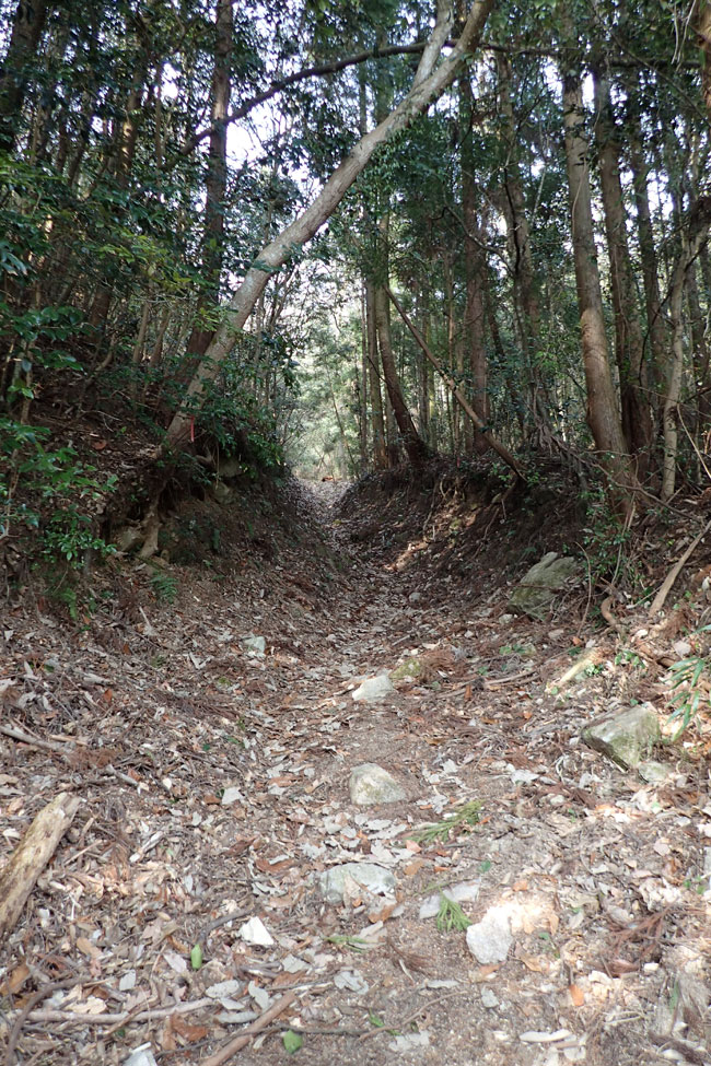 窓が山　久々の山登り_c0064025_0125927.jpg