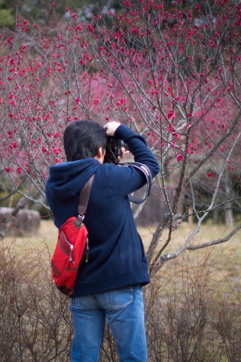 2015年2月23日　雨のち晴れの梅林にて_b0134829_21263051.jpg