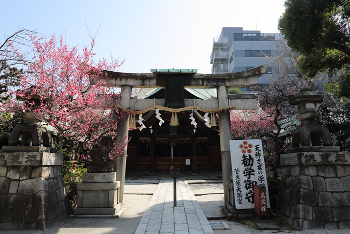 菅大臣神社の梅_b0169330_2325414.jpg
