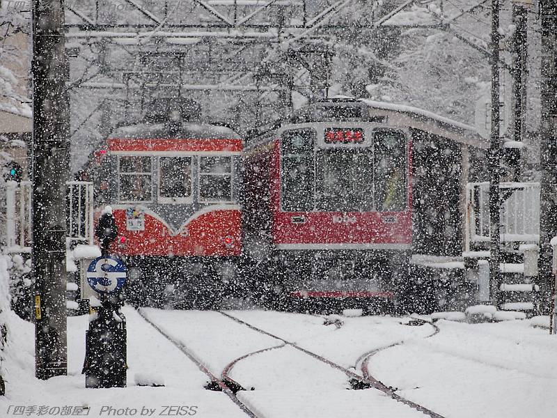 雪が降り積もる箱根登山鉄道（3）：小涌谷駅_a0195032_13533731.jpg