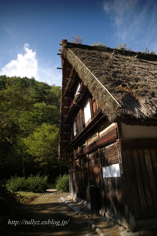 d0108132_2357320.jpg