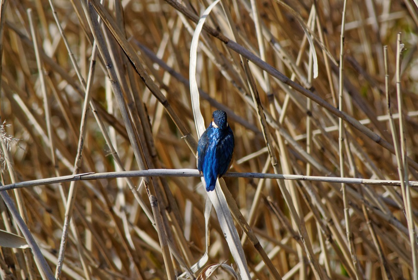 f0274536_0212932.jpg