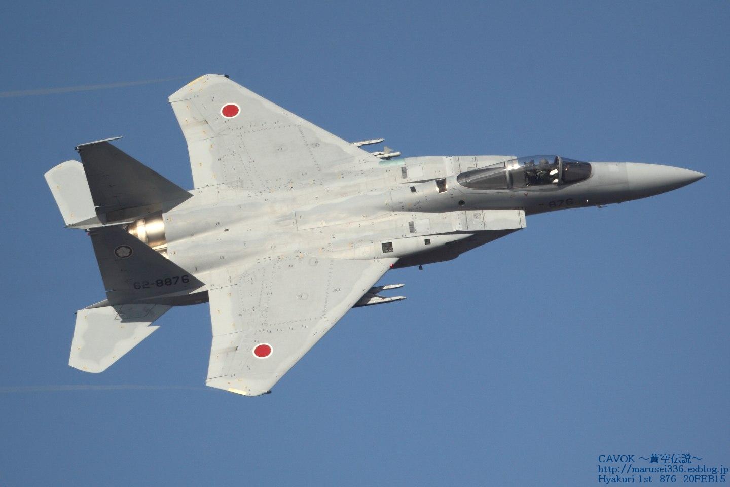 2/20百里 出撃-17　３０５飛行隊・アグレッサー_d0193838_7445399.jpg