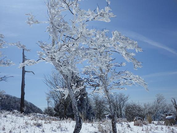 雪を求めて英彦山へ_e0164643_1461325.jpg