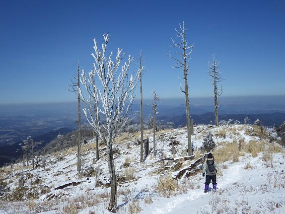 雪を求めて英彦山へ_e0164643_1464816.jpg