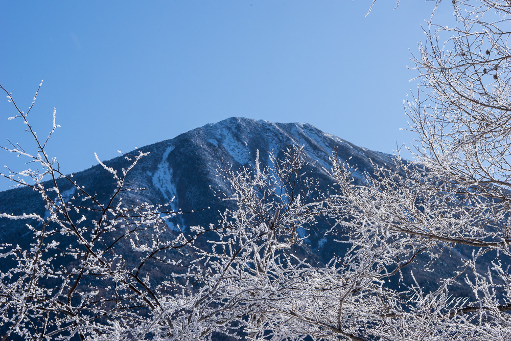 山と霧氷・・・_f0169053_21303946.jpg