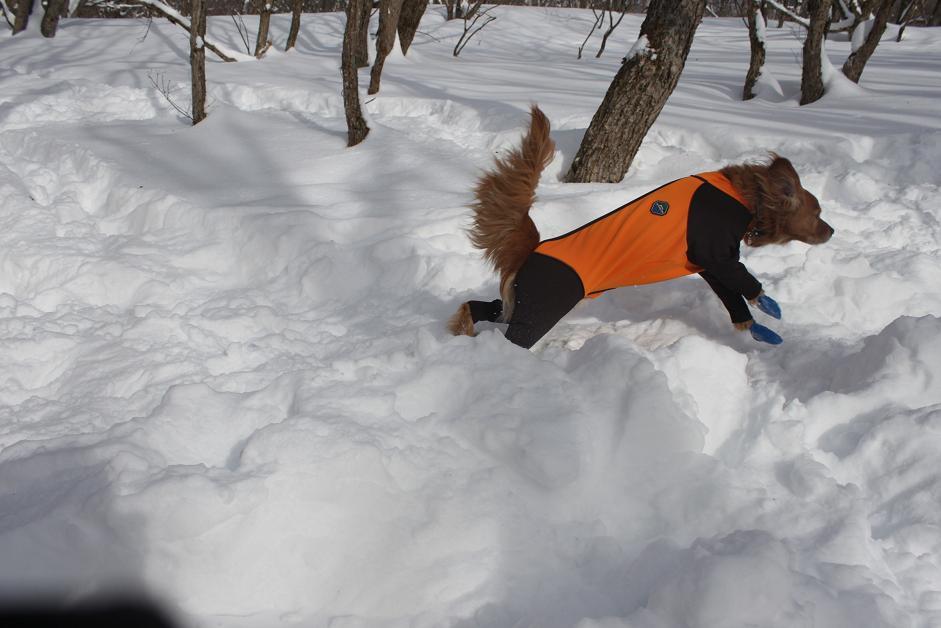 雪山レポ　多分これで最終章_b0306466_16305067.jpg