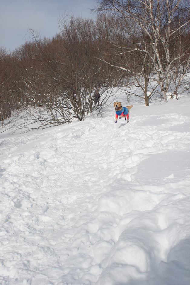 雪山レポ　多分これで最終章_b0306466_16351445.jpg