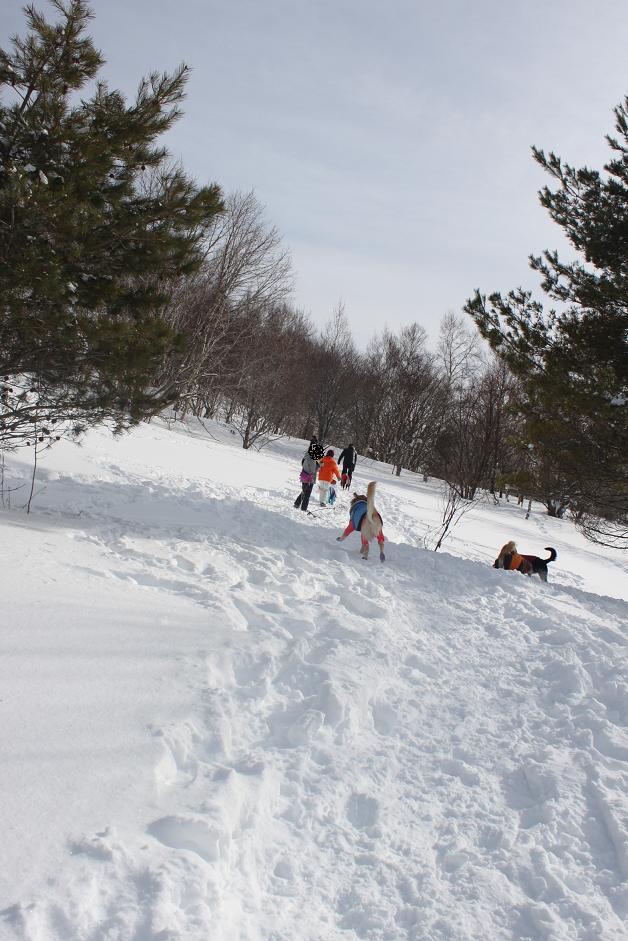 雪山レポ　多分これで最終章_b0306466_16402274.jpg