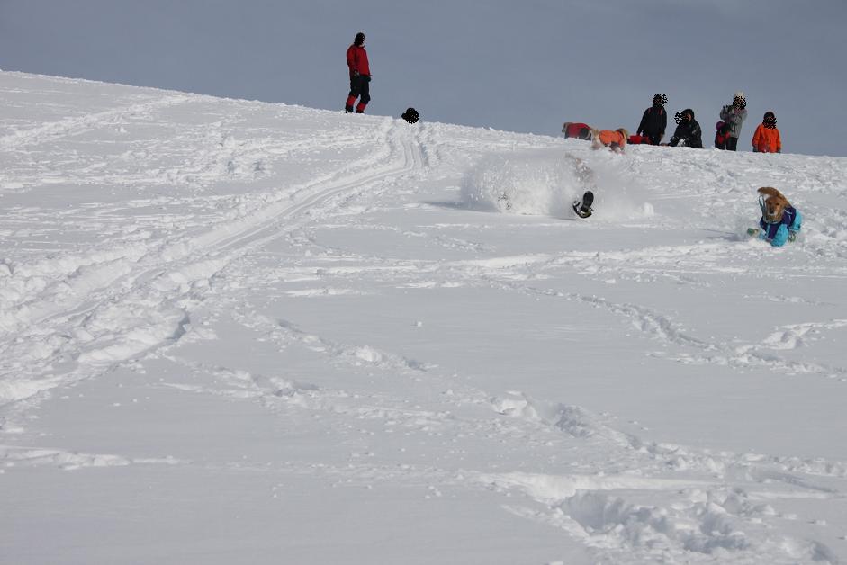 雪山レポ　多分これで最終章_b0306466_17054911.jpg