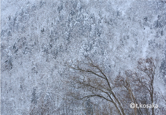 水墨の峠_a0104067_1818445.jpg