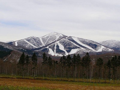 春節で中華圏から十勝管内に_b0171771_03121207.jpg