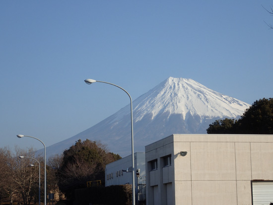 キリシマ卵を探しに_e0167571_1146072.jpg